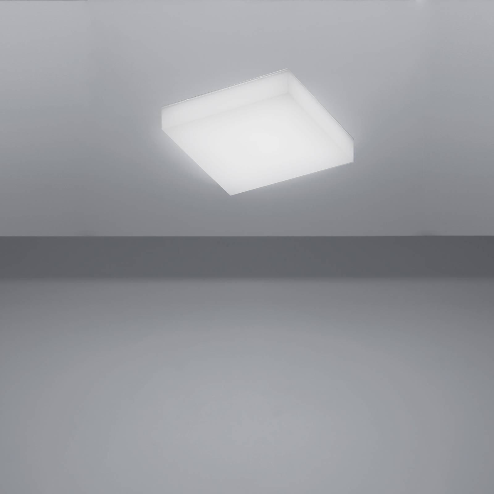 Ice image 14
