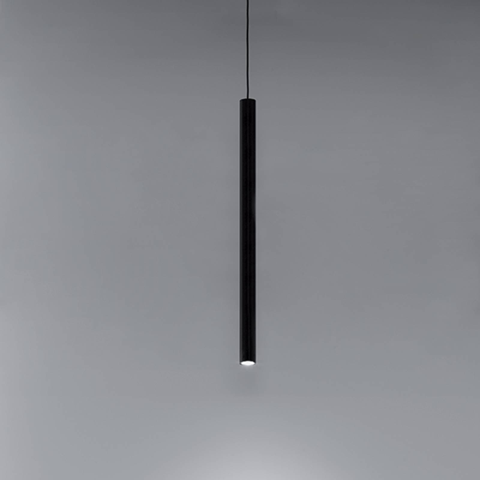 DL031 image 2