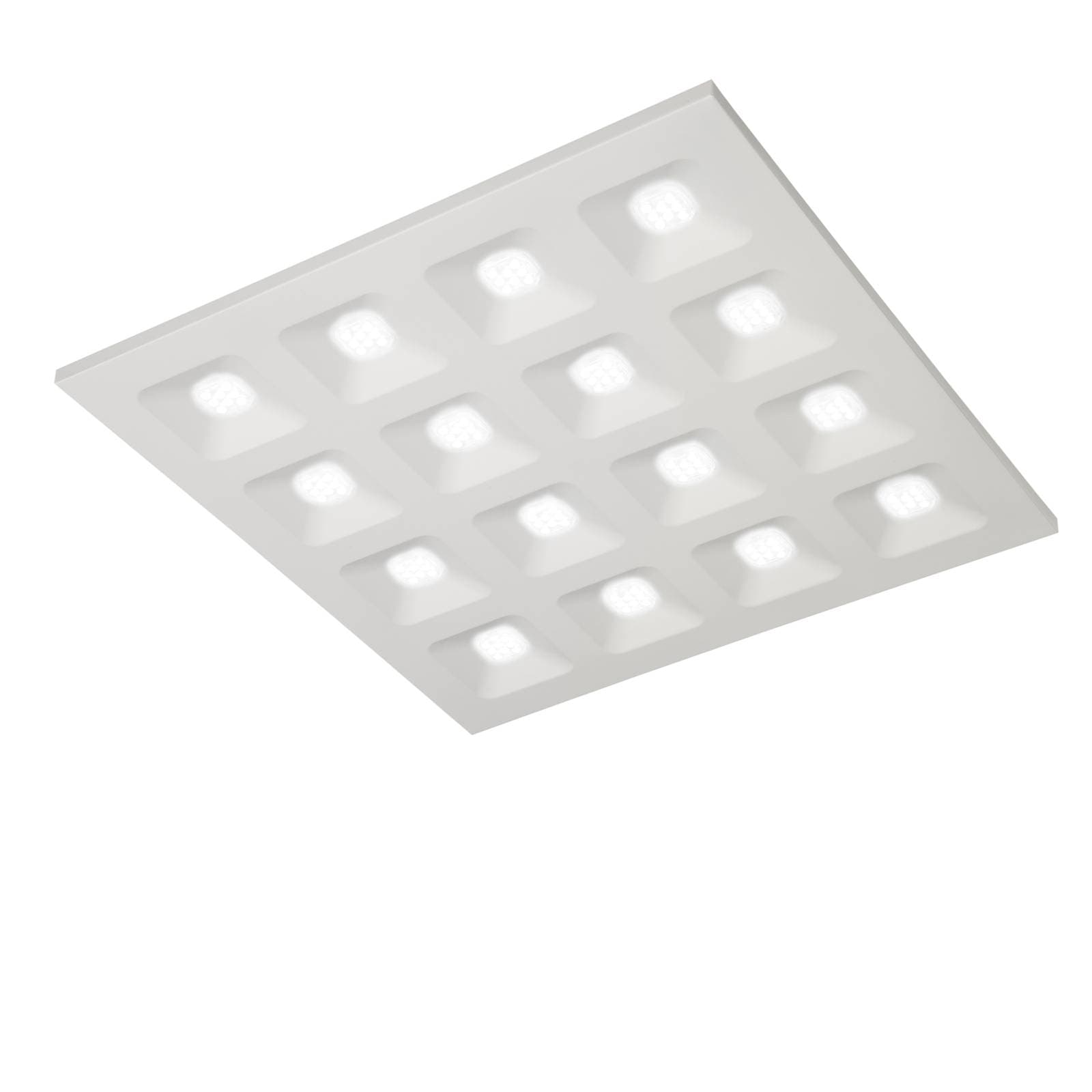 Domino Pro