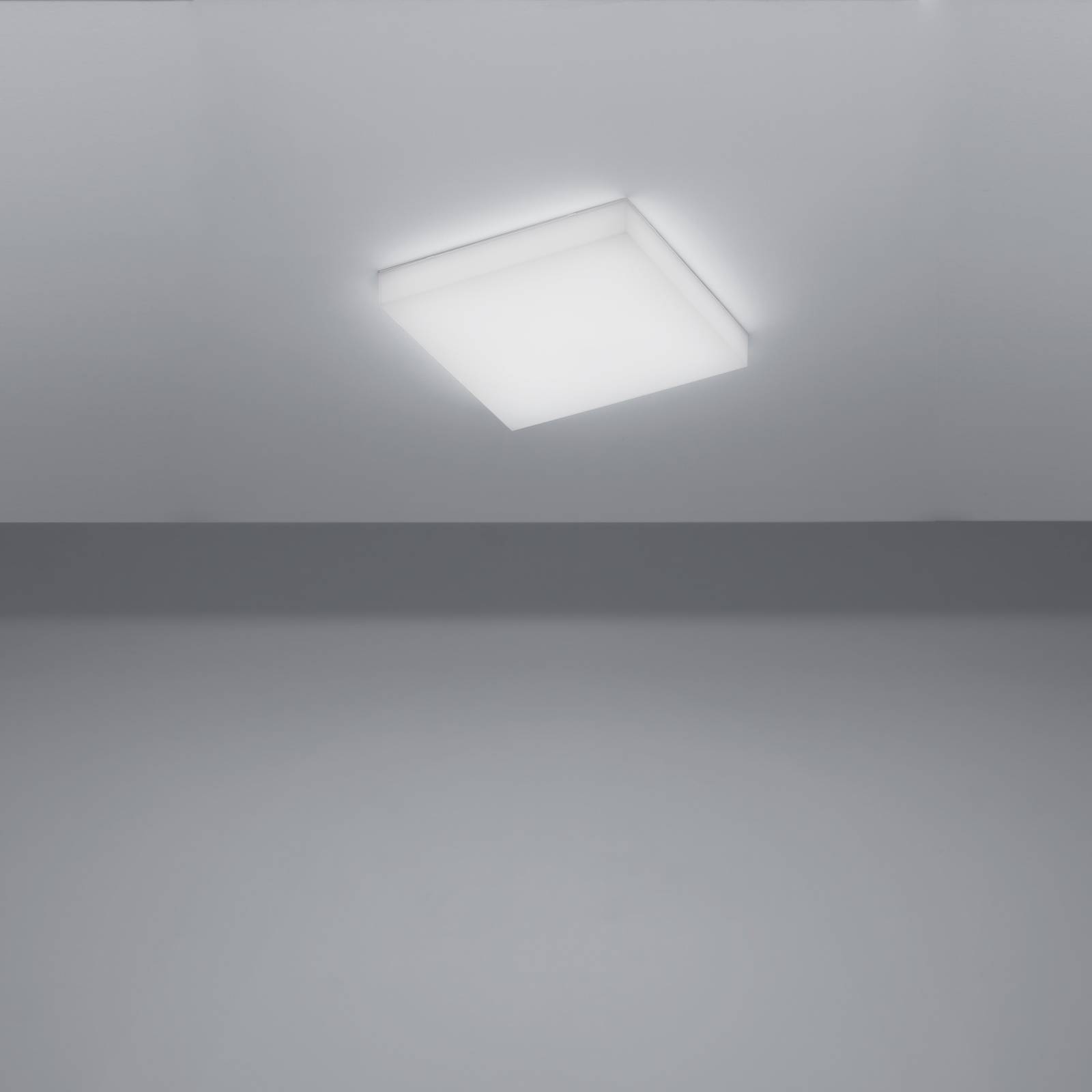Ice image 13