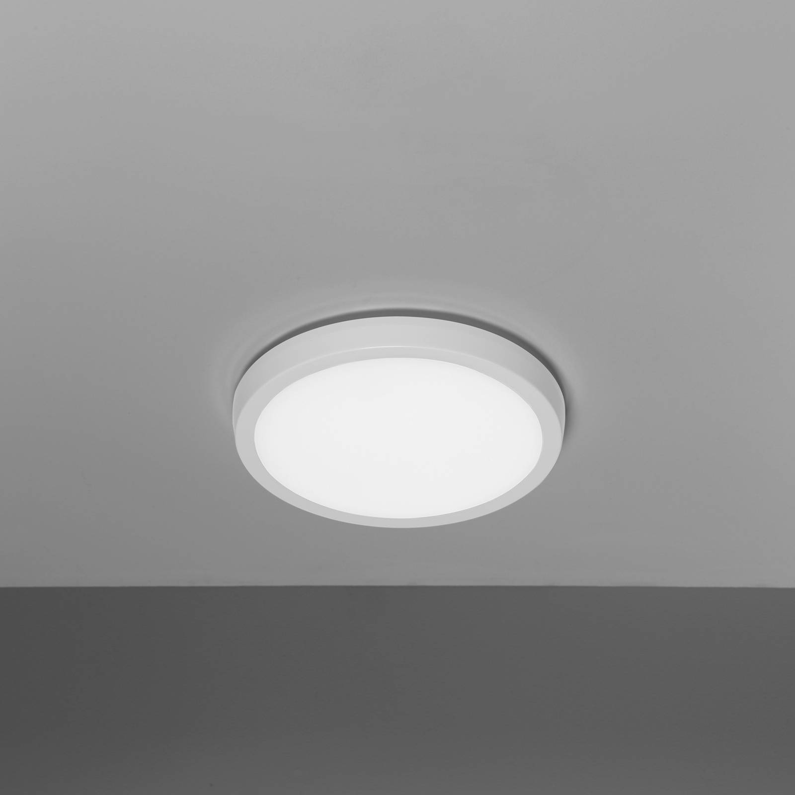 PLI image 4