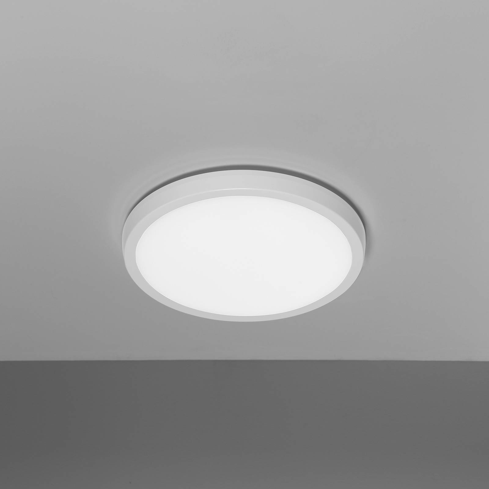 PLI image 5