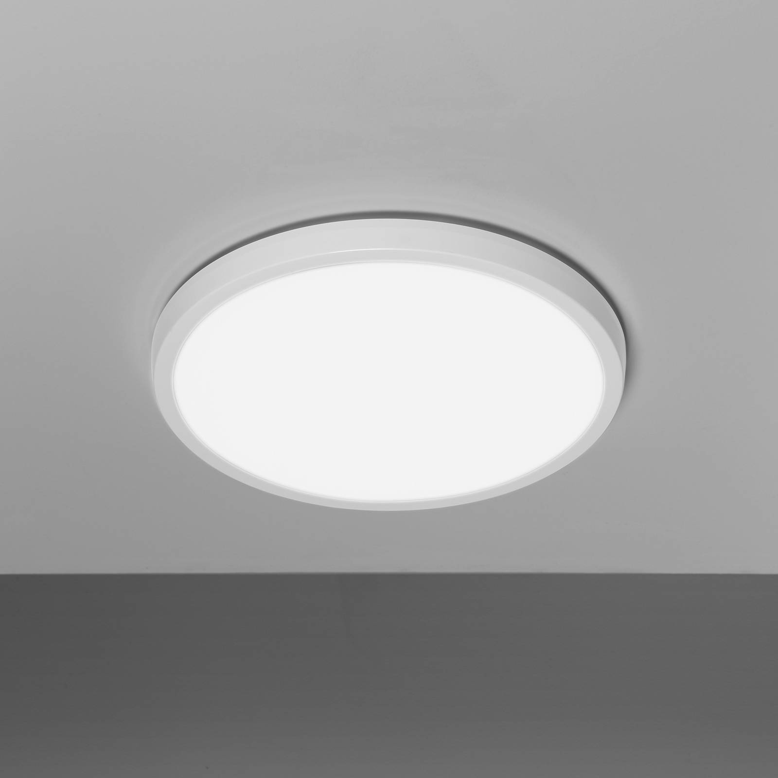 PLI image 6