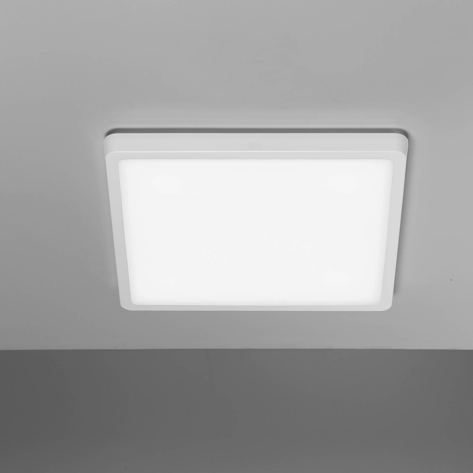 PLI image 3