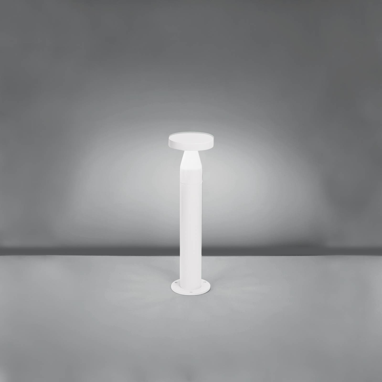 Pin Bollard image 2