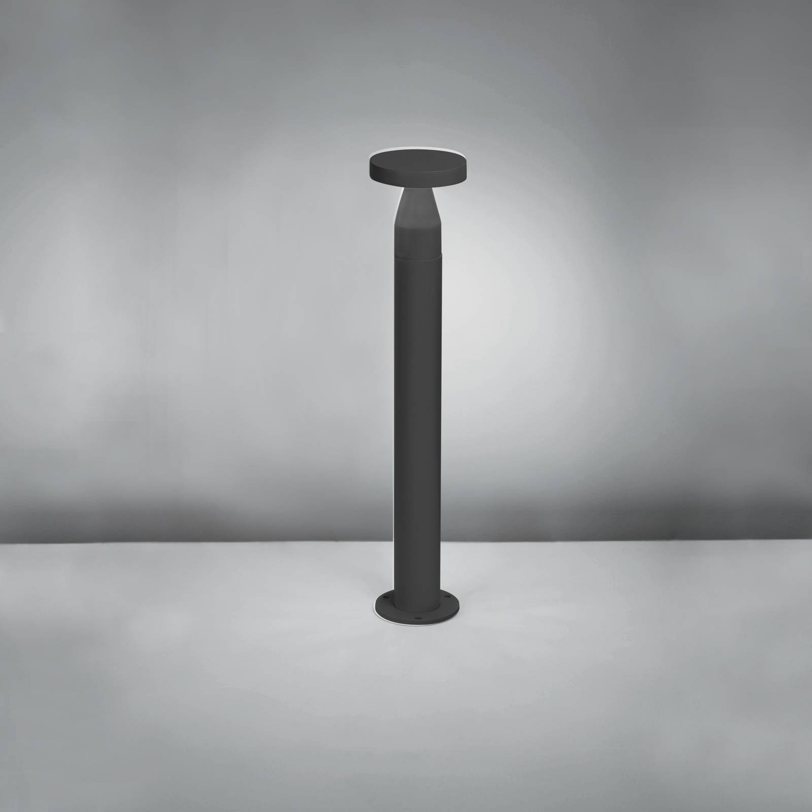 Pin Bollard image 4