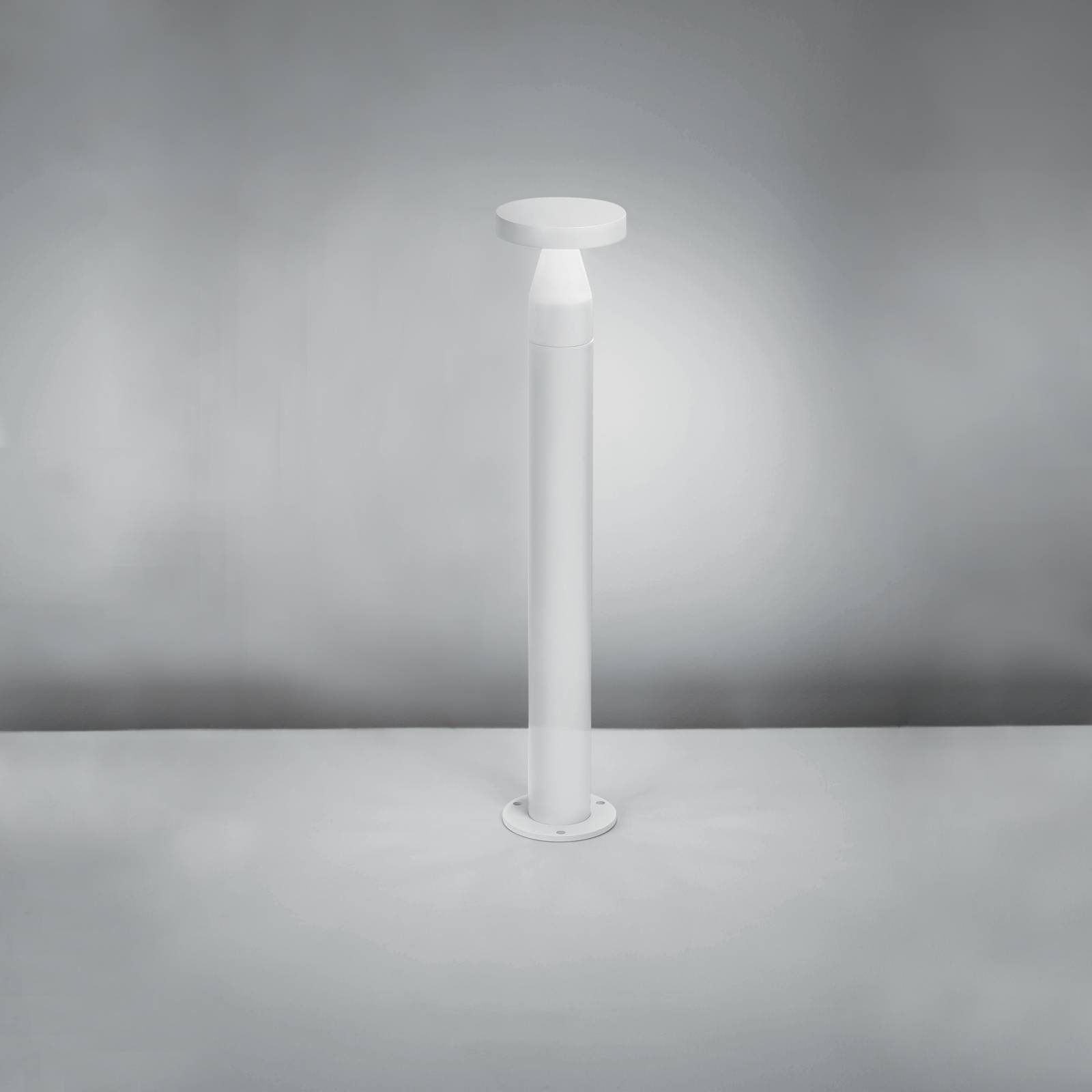 Pin Bollard image 6