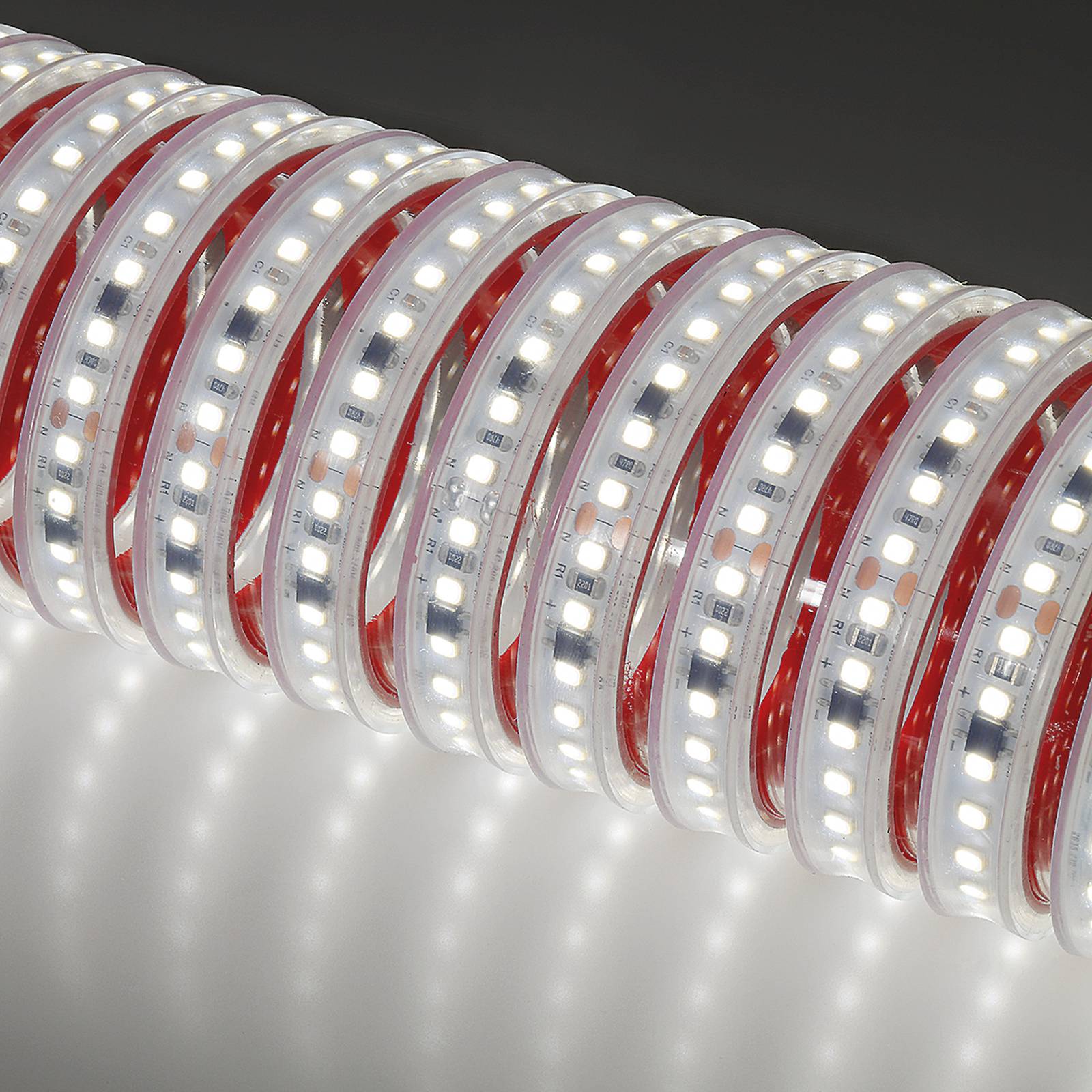 Strip LED 230V