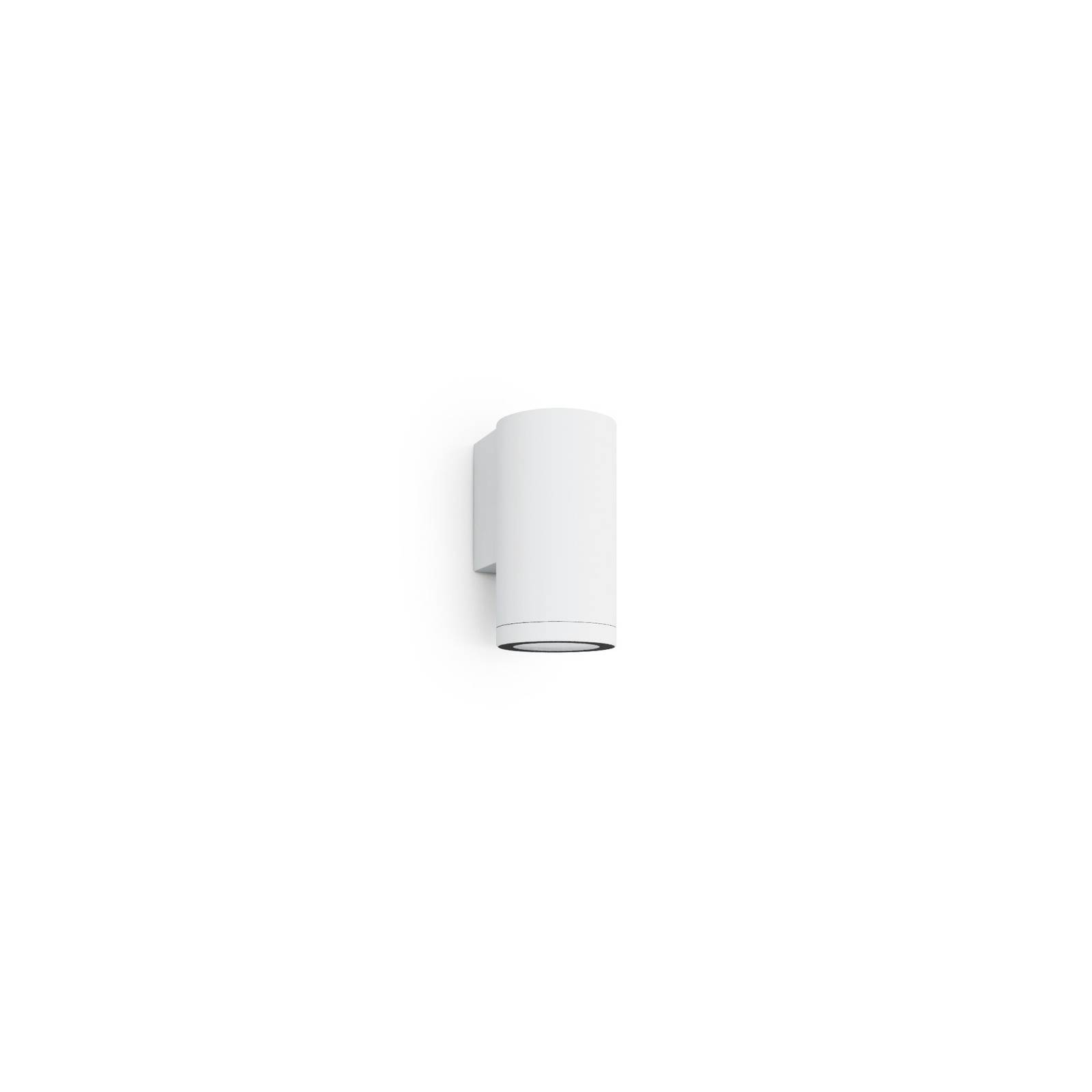 Focus Evo 4 image 2